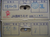 P1012407