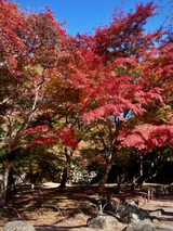 紅葉ガ丘