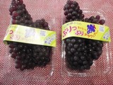 P1010059