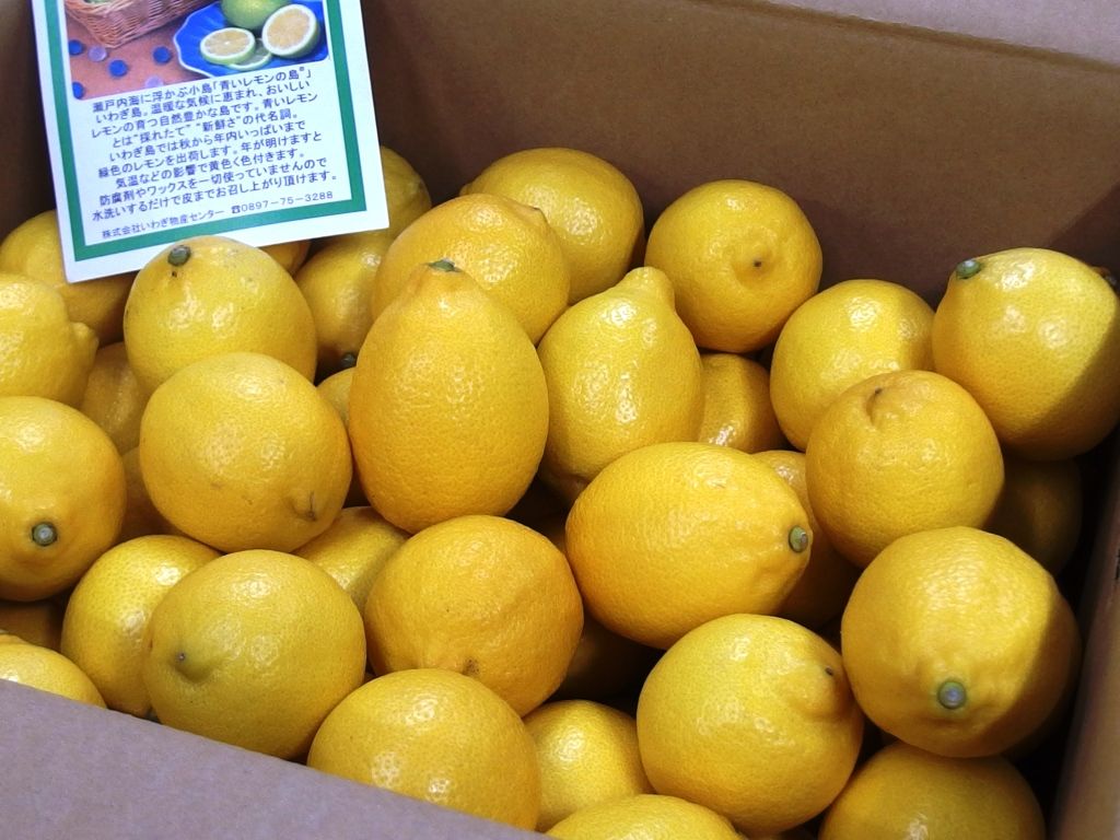 愛媛 岩城島のブランドレモン好評販売中 Asamana Manager S Blog