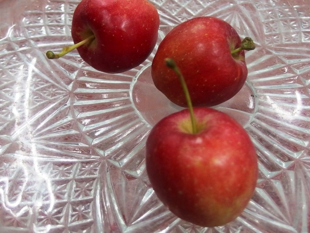 乙女チックなりんごです アルプス乙女 好評販売中 Asamana Manager S Blog