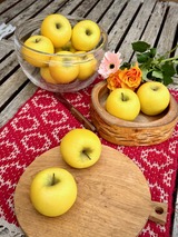 シナノドールド　２０２５