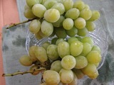 P1010315
