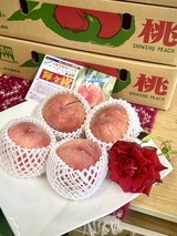 川中島白桃　キラキラ桃　２０２６