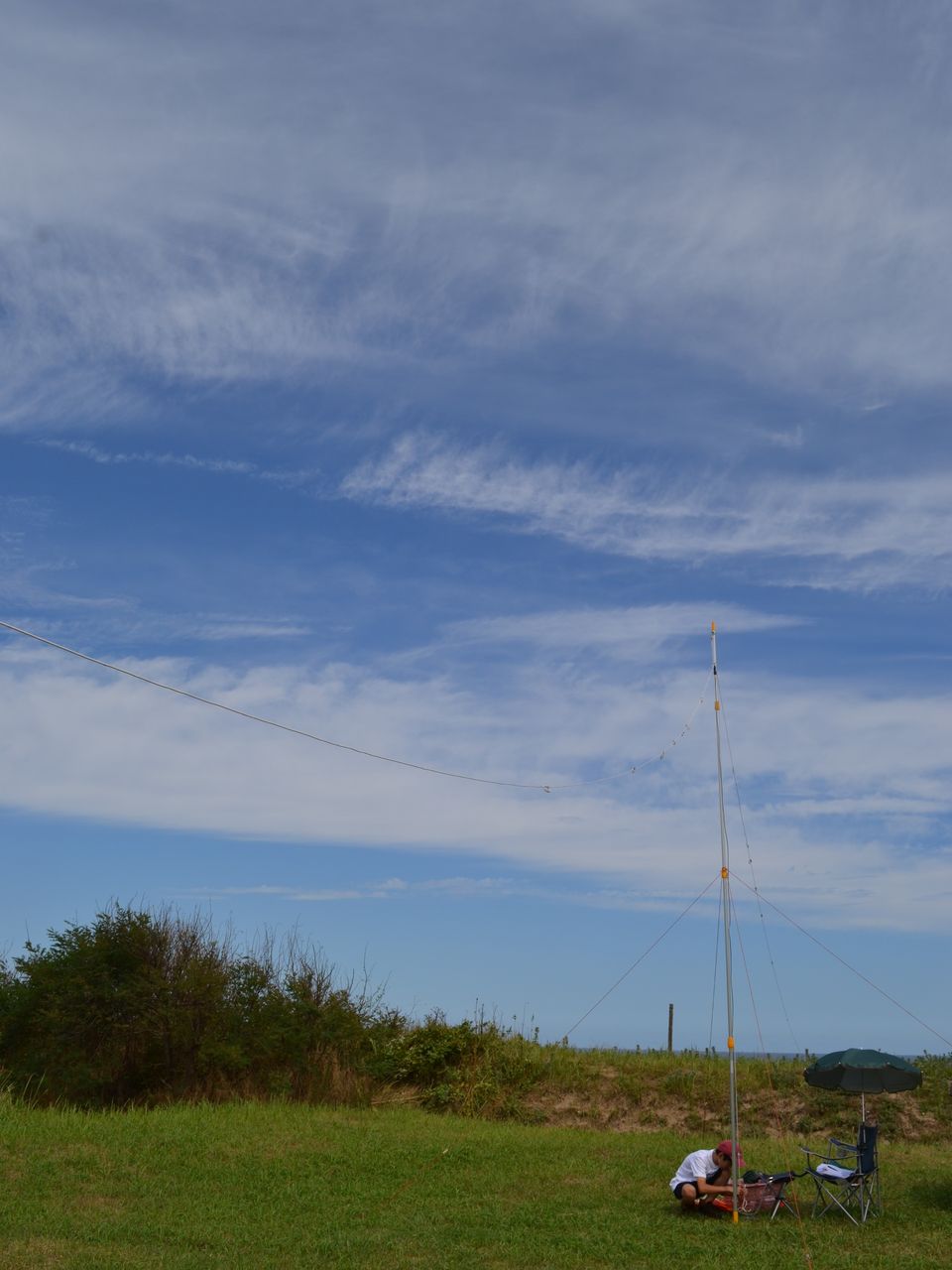 ポールとおじさん ぼくと野鳥と日常