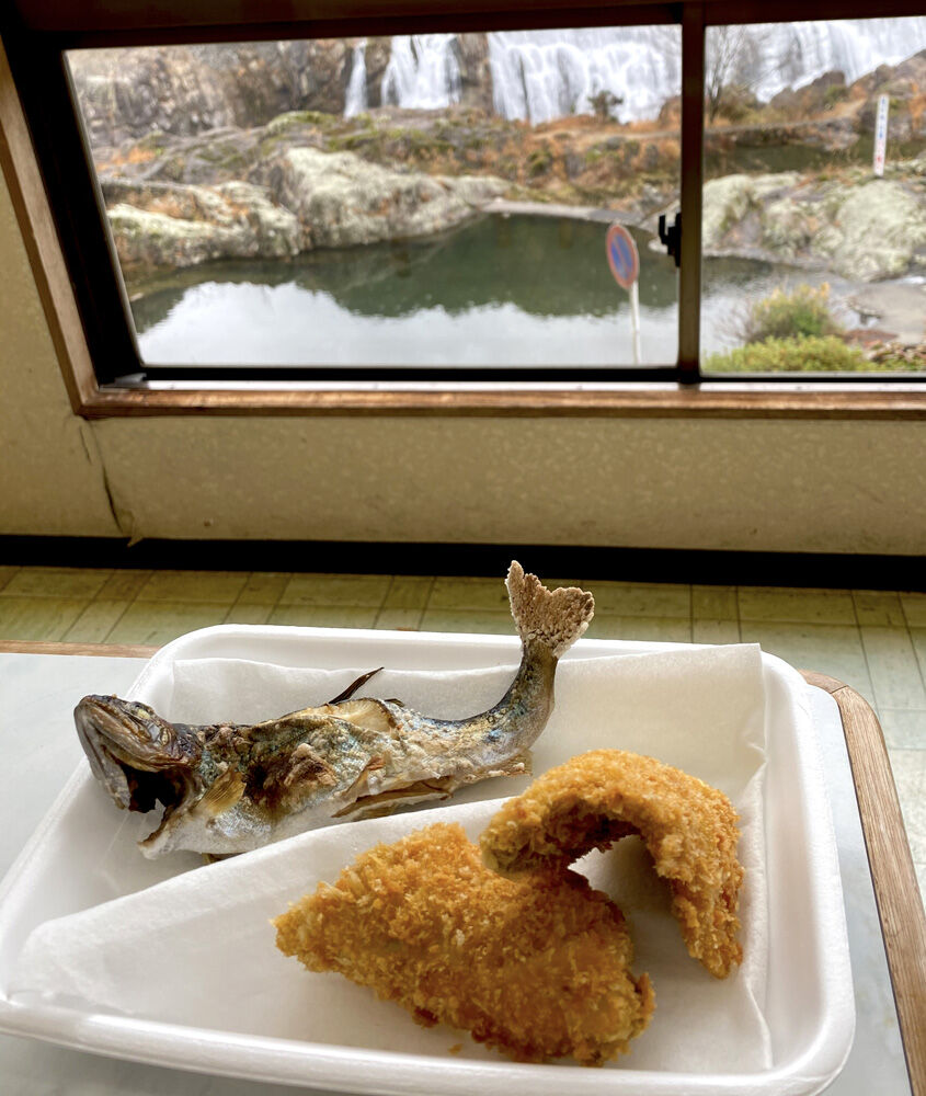 花の木公園 新城市 奥三河ぐるめ旅22