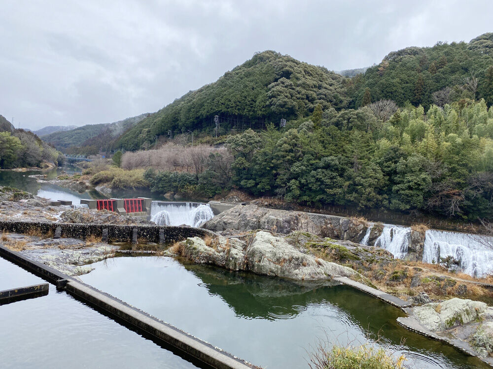 花の木公園 新城市 奥三河ぐるめ旅22