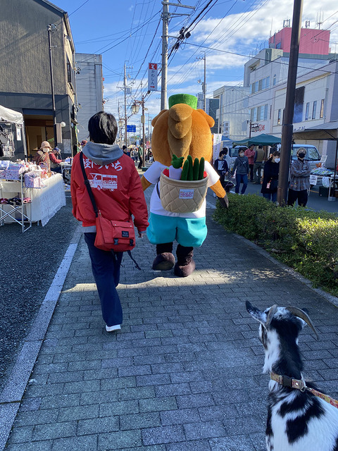 2024-11-24 10.15.34-1