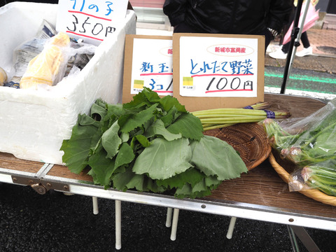P1010022