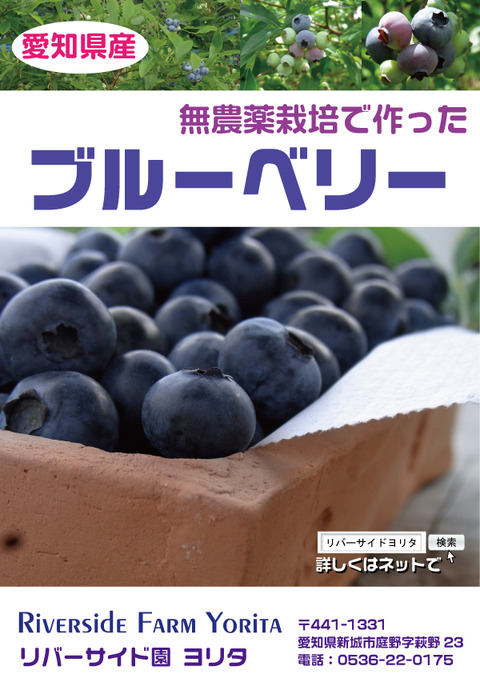 ブルーベリーポスター