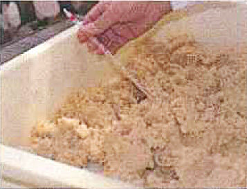 miso