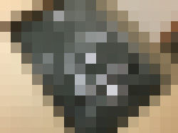 信州カンフＴシャツ