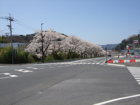 DSCF3455