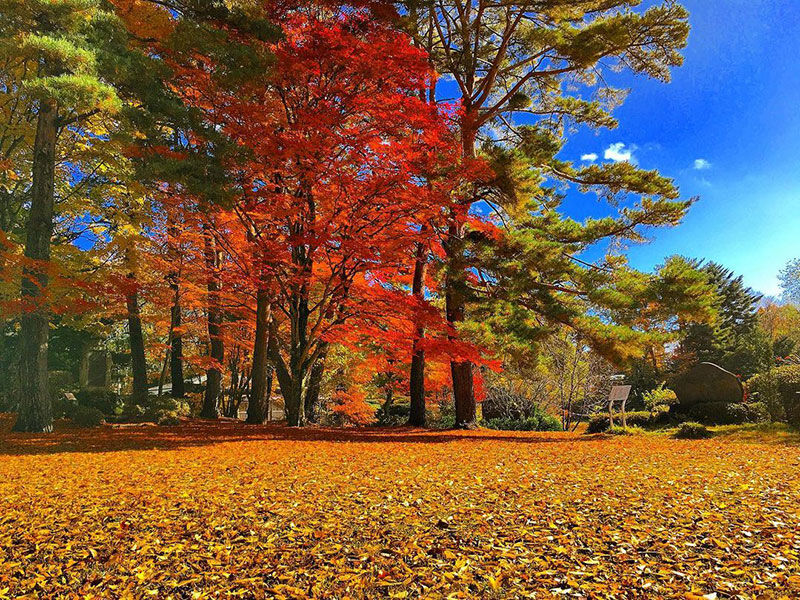高原の町は紅葉いっぱい♪(4)