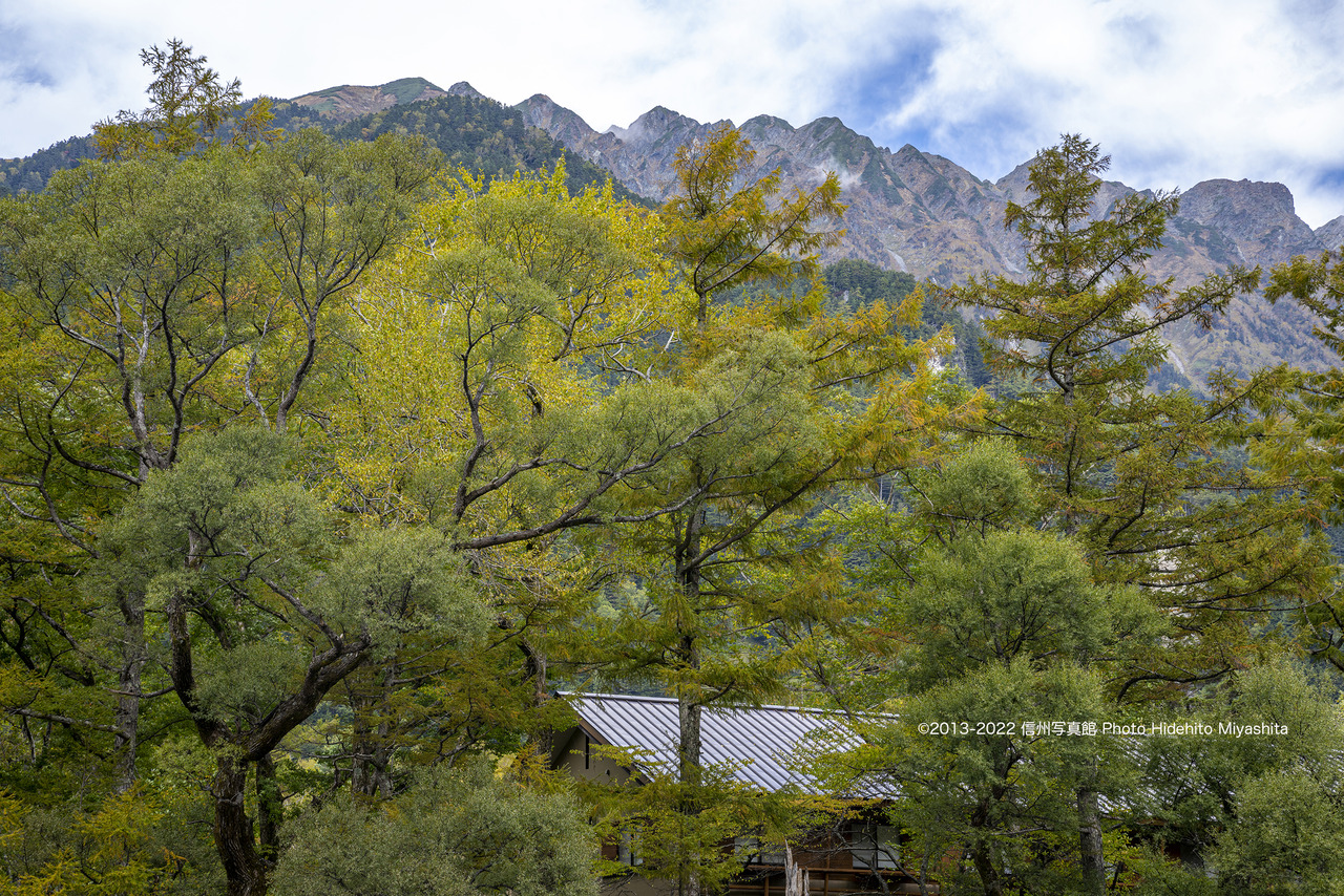 色づき始め_20221011-_DSC1725