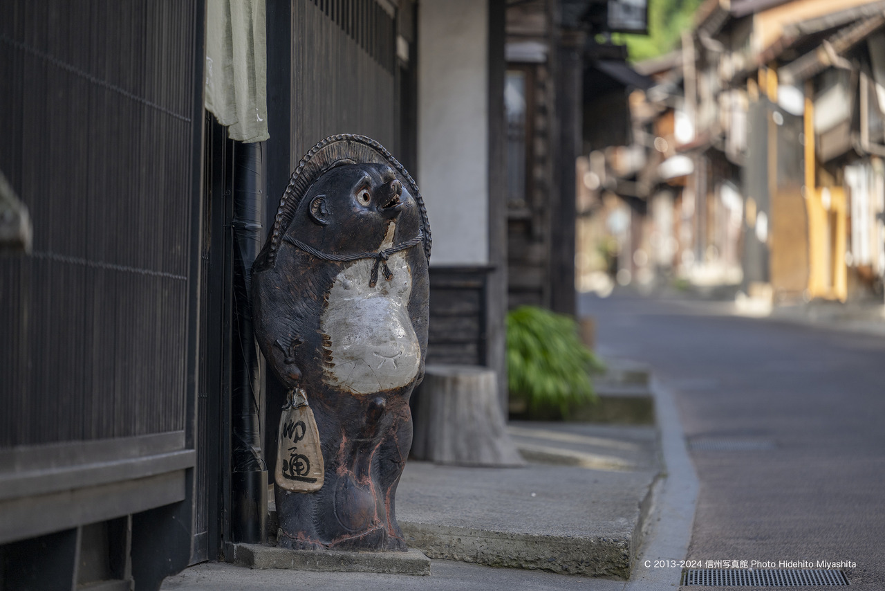 20240728-DSC_9058 のコピー