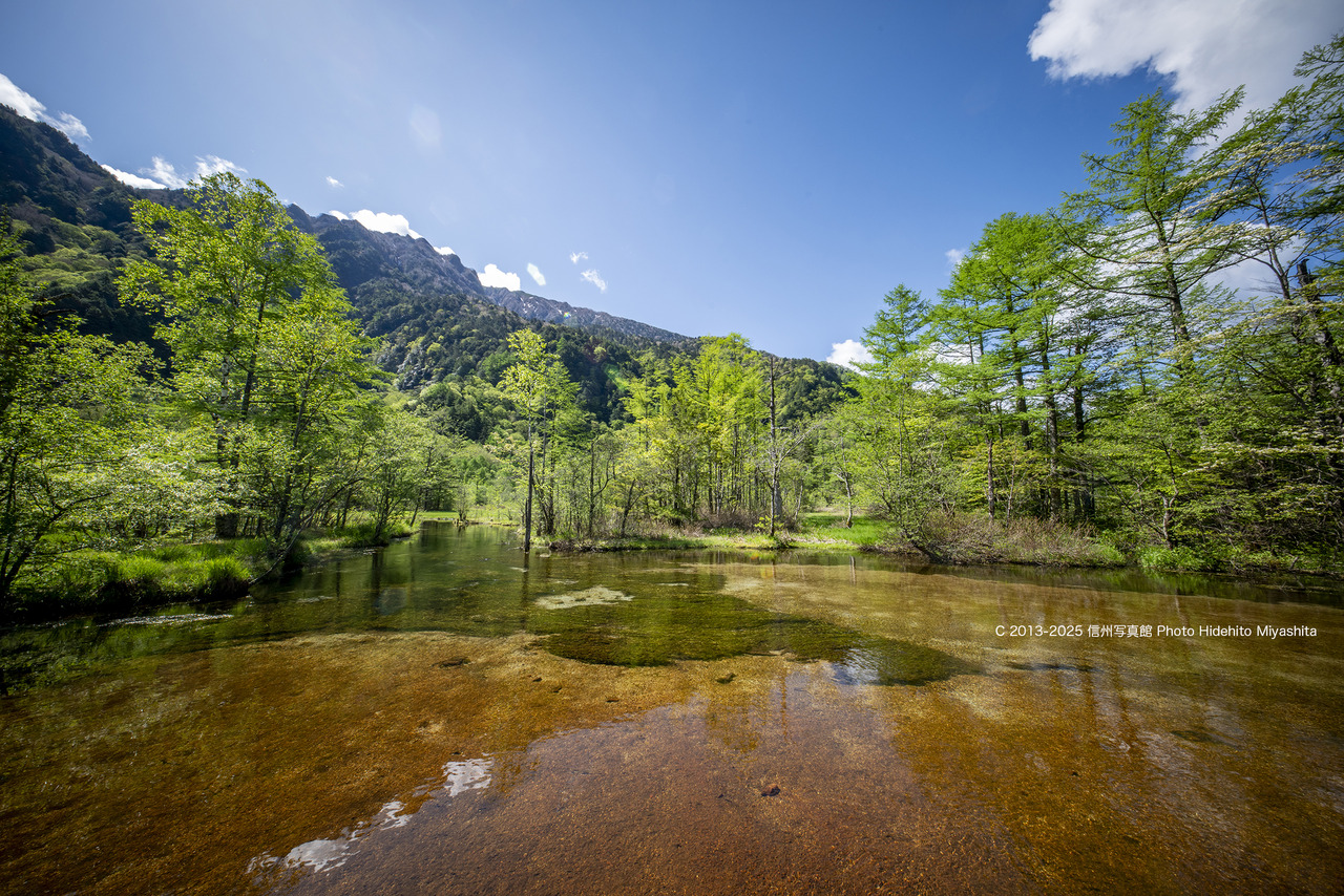 20250528-DSC_8512 のコピー