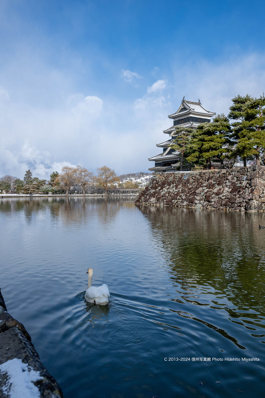 20240309-_DSC0082 のコピー