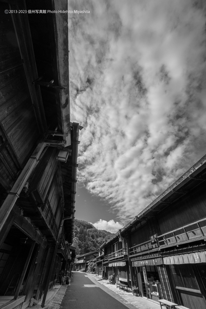 20230909-_DSC4000-2 のコピー