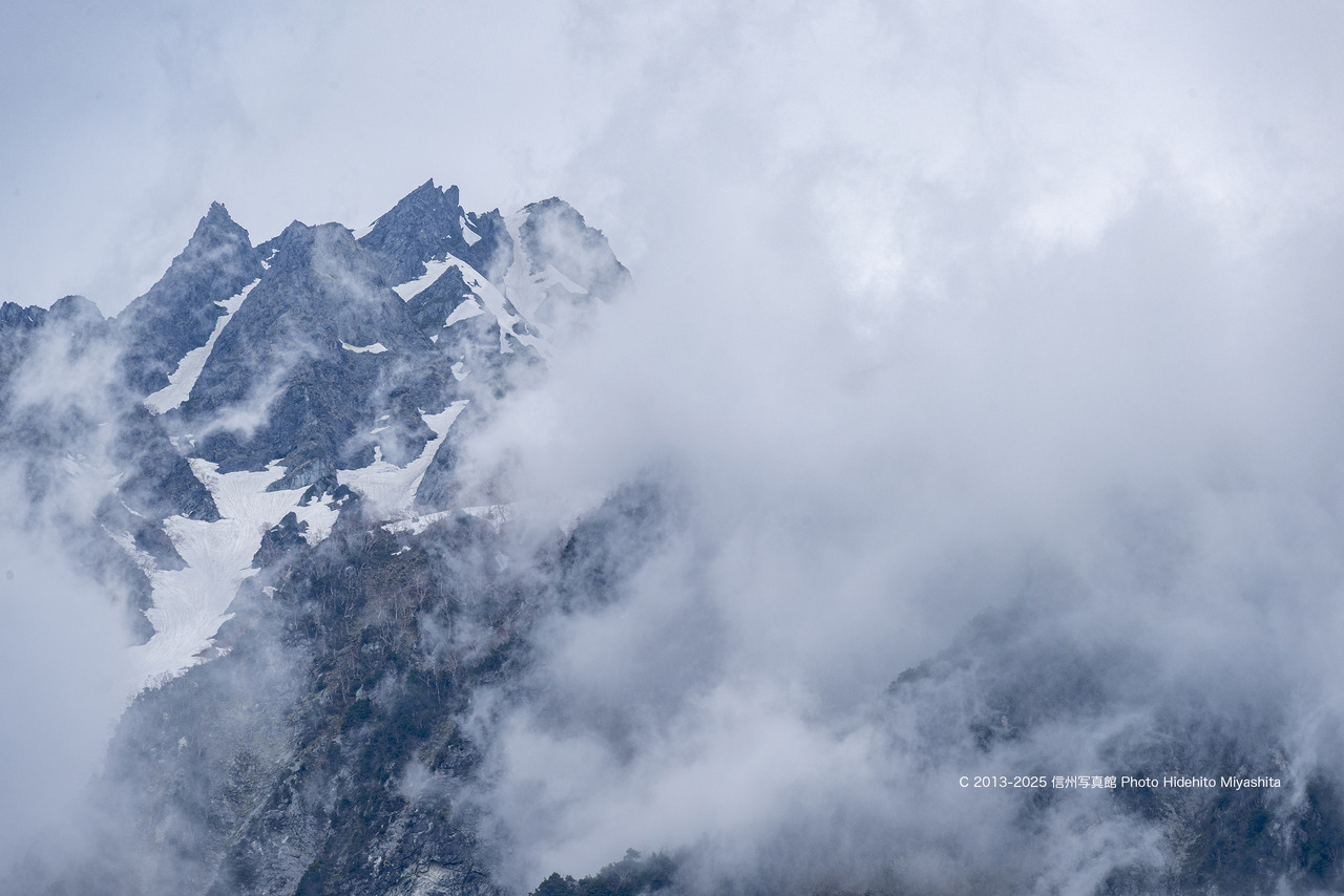 20250524-_DSC7859 のコピー