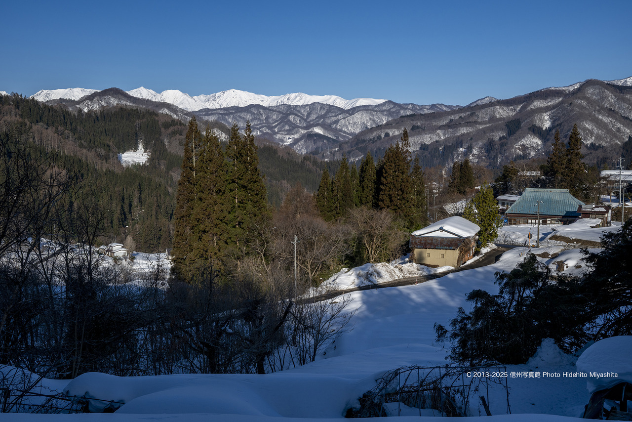 20250301-DSC_3598 のコピー