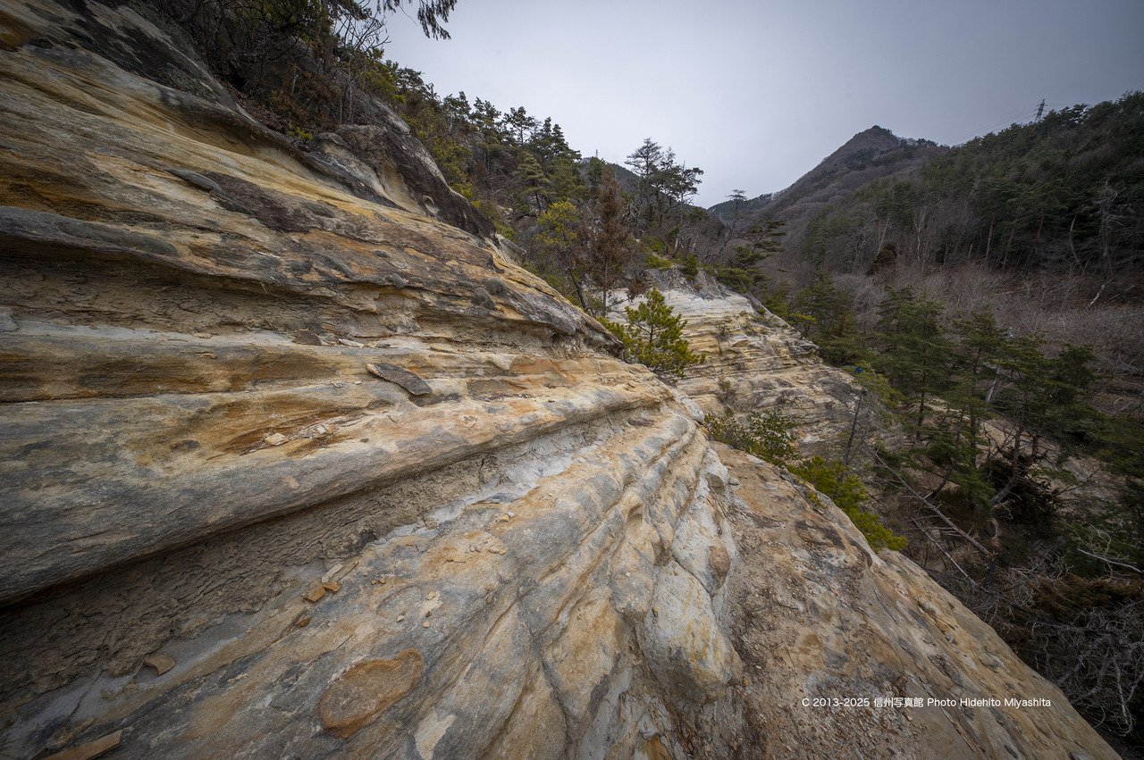 20250315-_DSC1606 のコピー