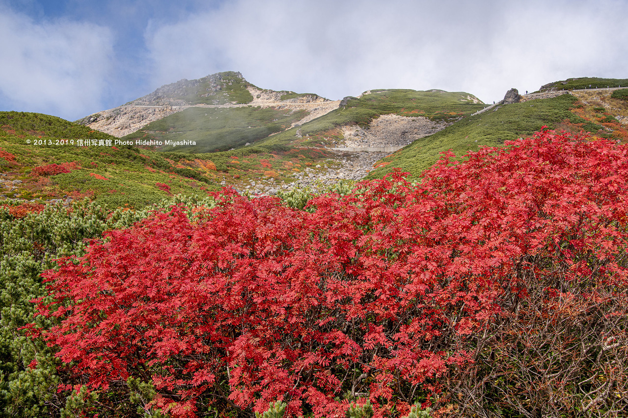 紅鮮やかに_20191006-_DSC2159