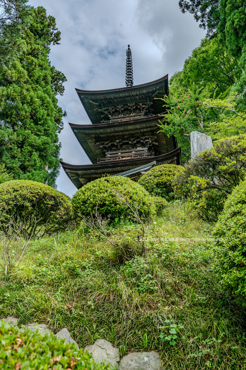 20260808-_DSC9787 のコピー