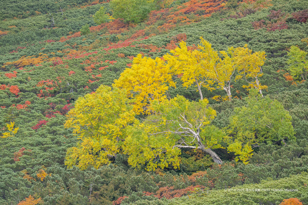 20250930-_DSC6496 のコピー