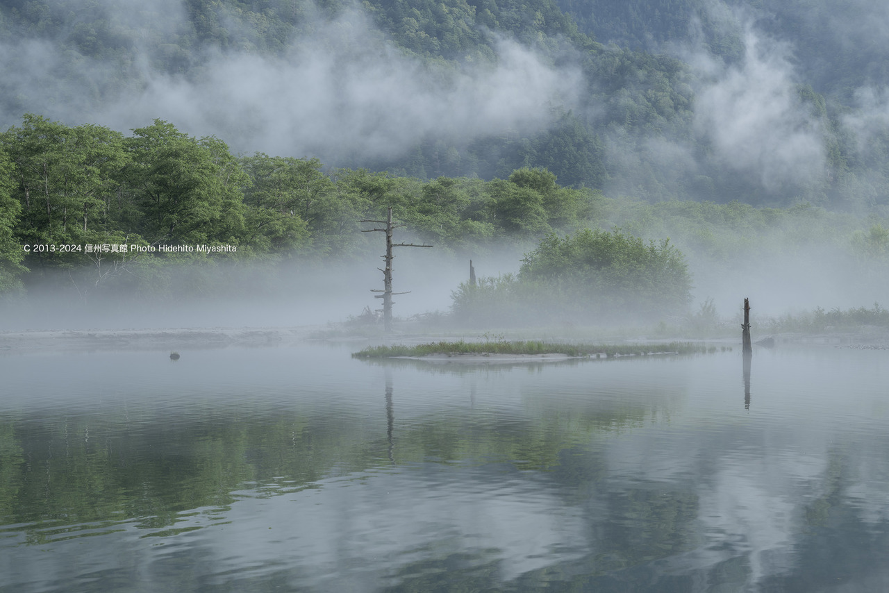 20240727-_DSC2063 のコピー