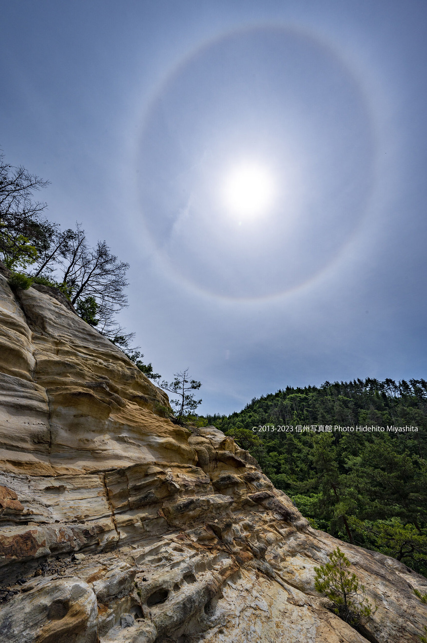 20230610-_DSC8003 のコピー