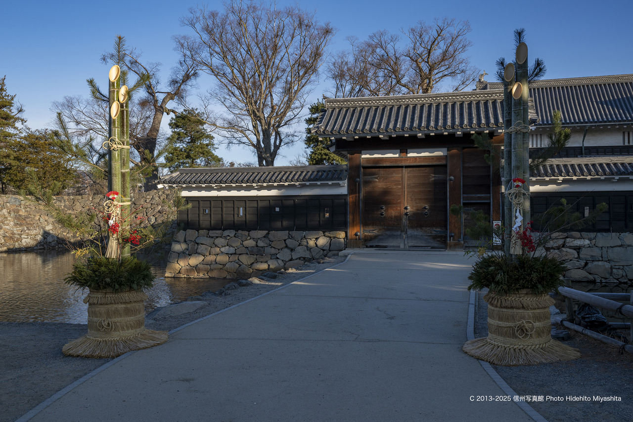 20250105-DSC_6771 のコピー