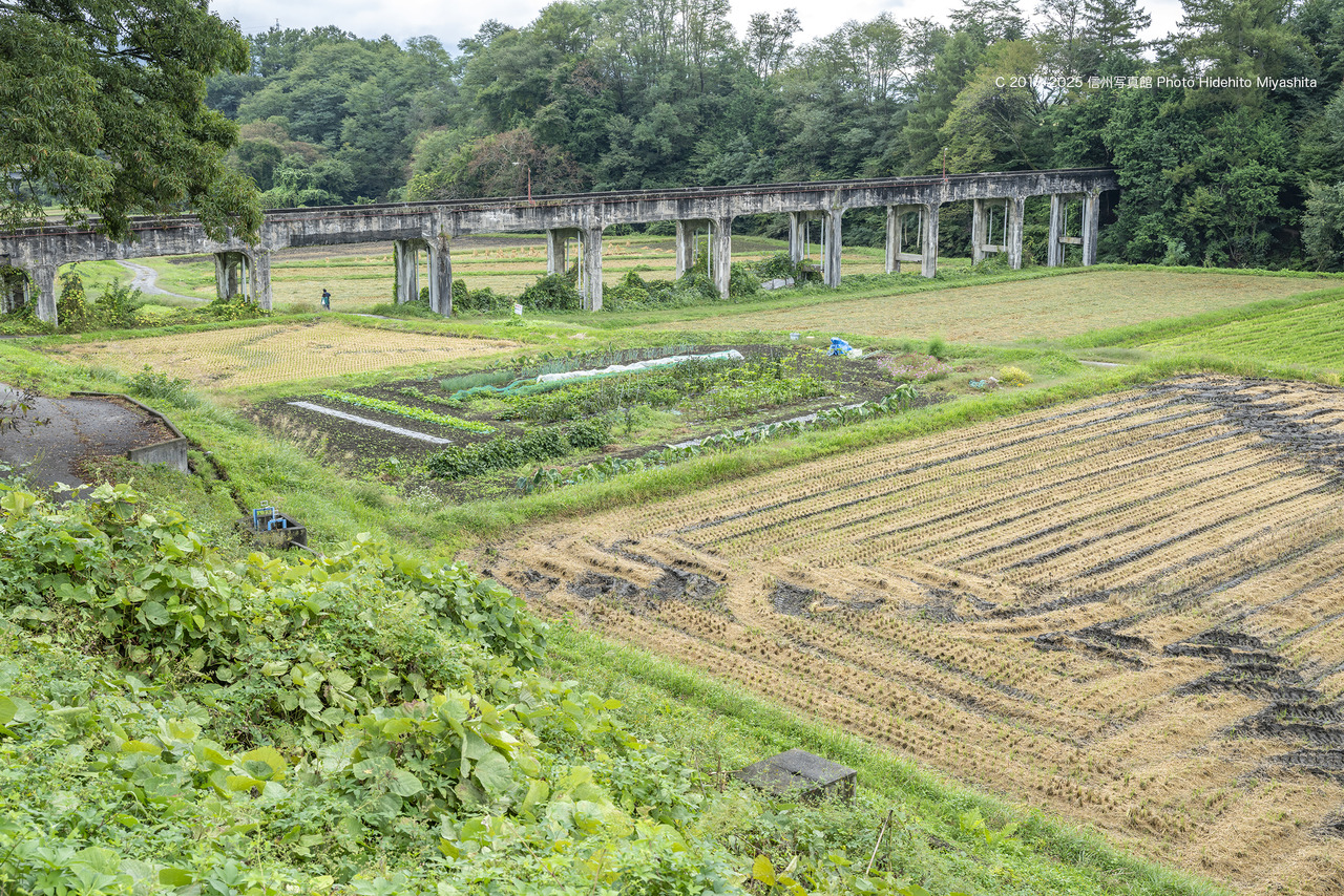 20251005-_DSC3751 のコピー