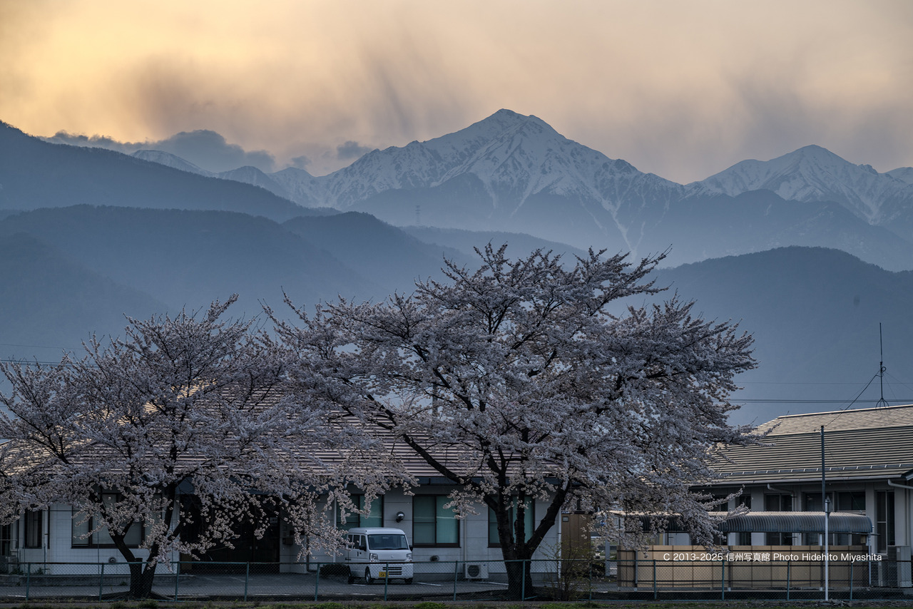 20250417-DSC_3130 のコピー