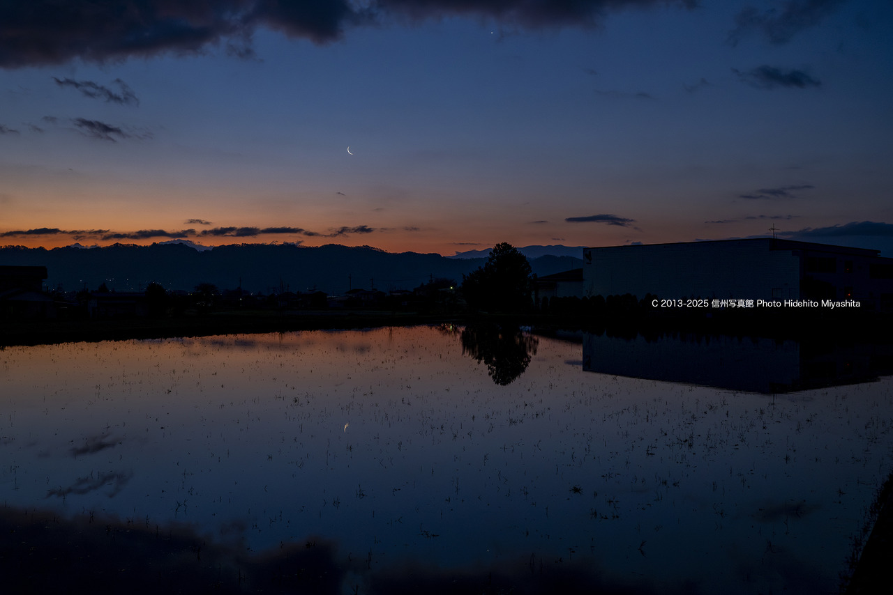 20250426-DSC_4311-強化-NR-2 のコピー