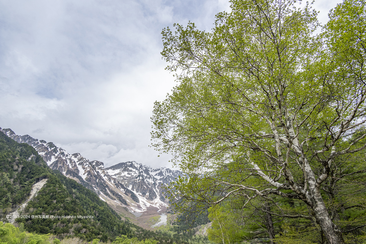 20240512-_DSC0762 のコピー