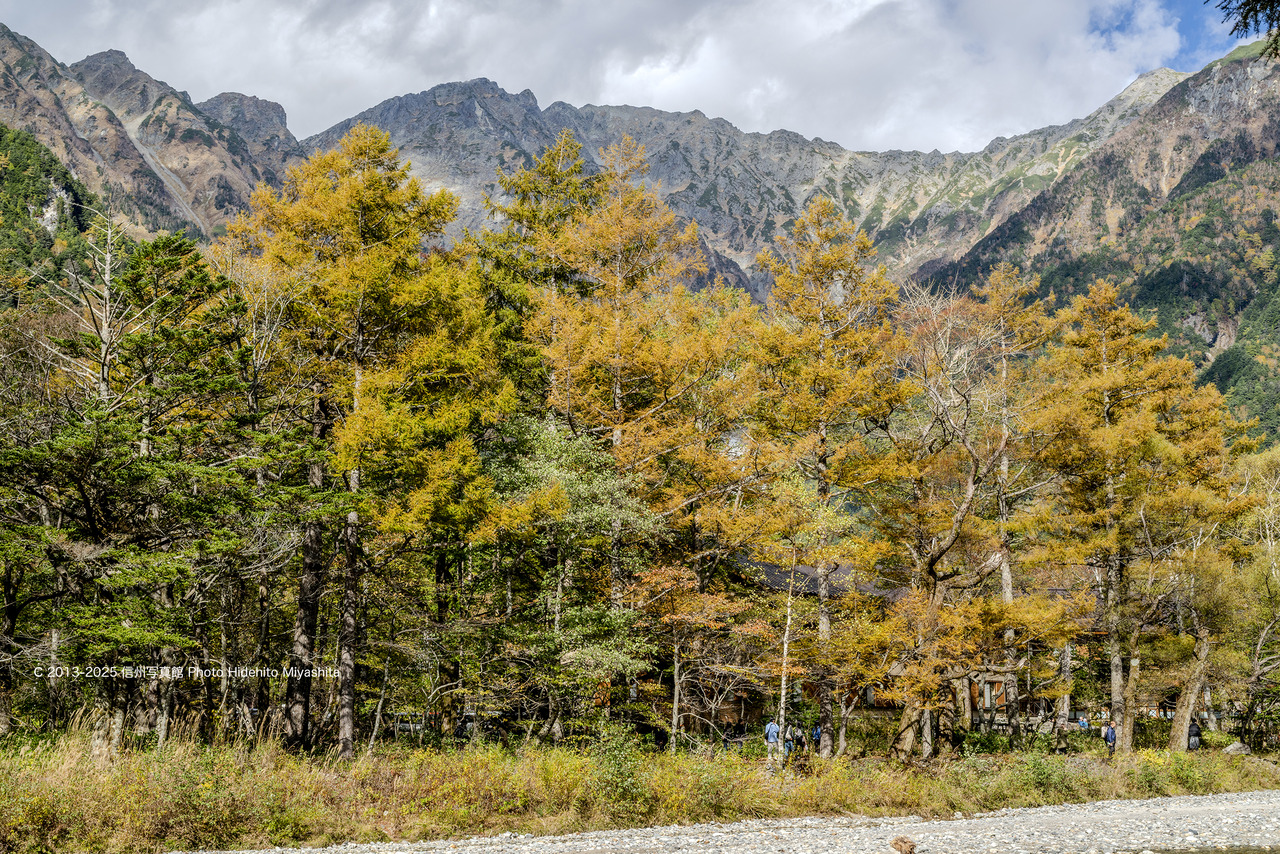 20251024-_DSC4885 のコピー