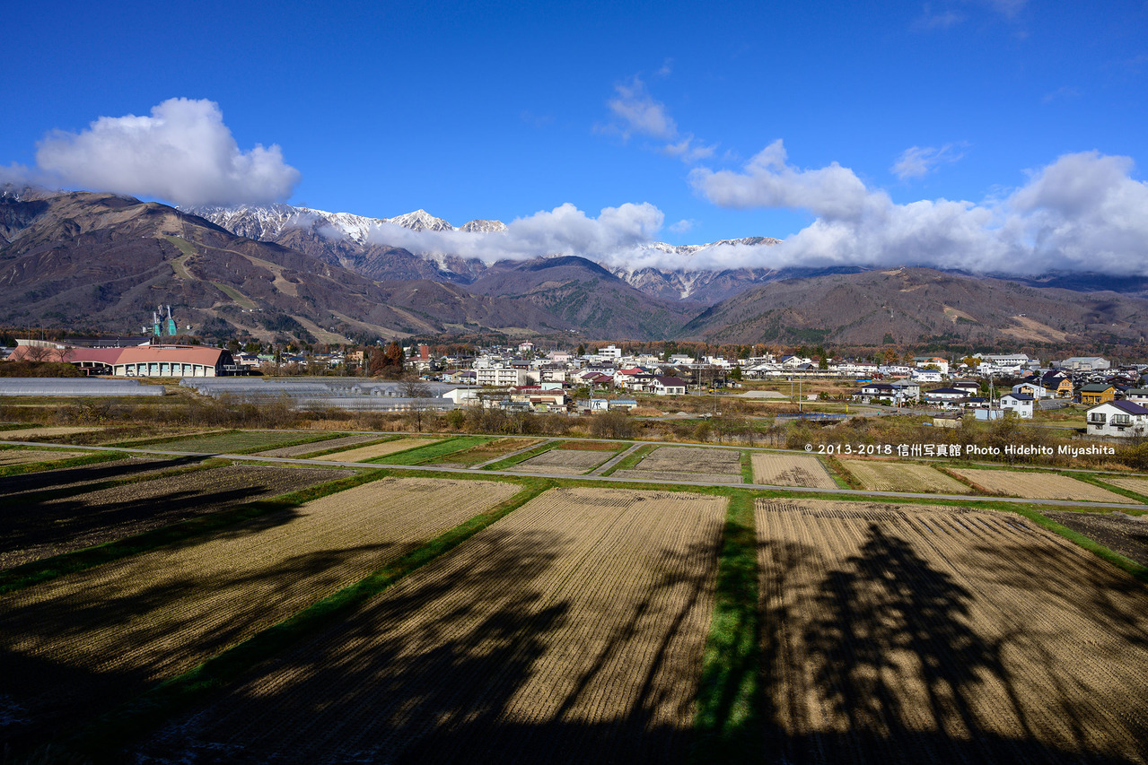 長い影　20181115-_DSC5259