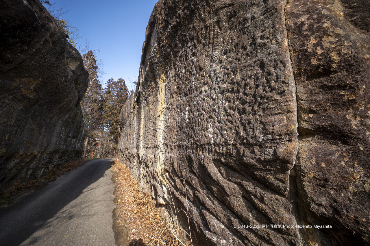 20260117-_DSC9551 のコピー