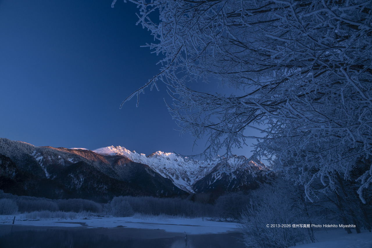 20260204-_DSC7893 のコピー