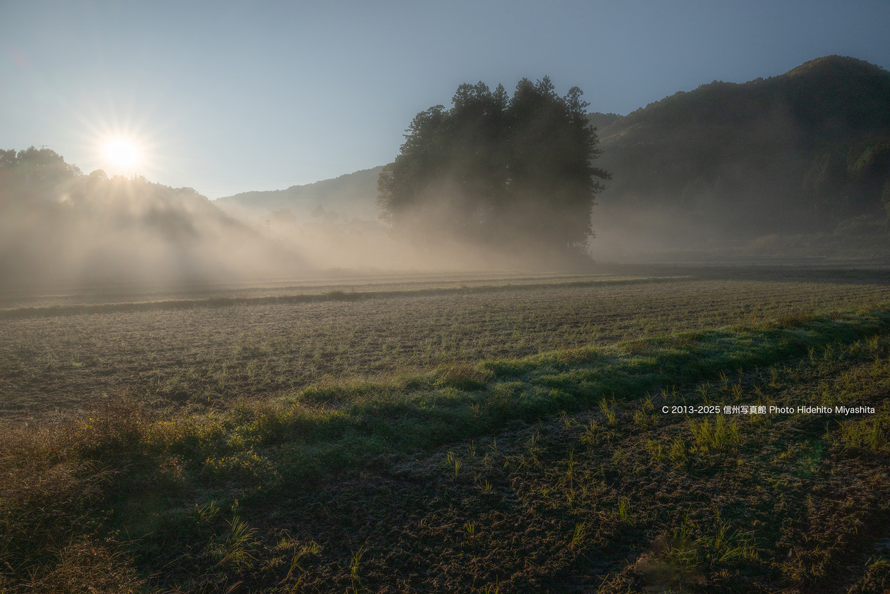 20251030-_DSC6539 のコピー