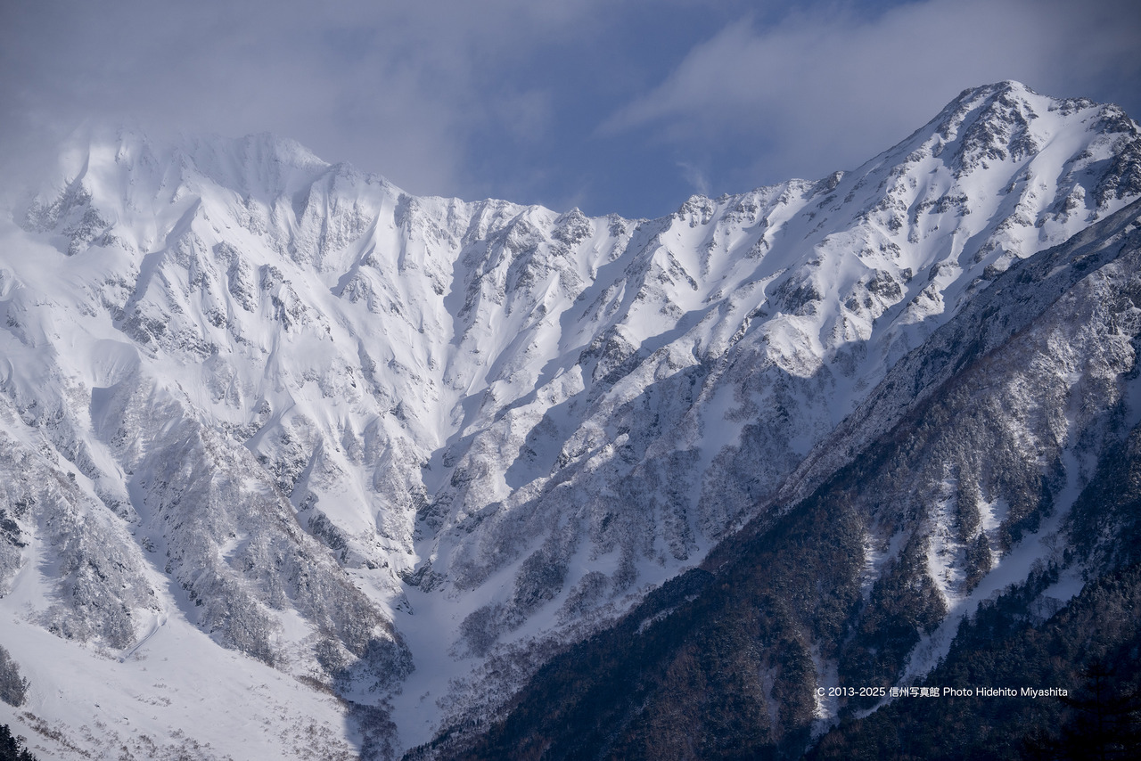 20250201-_DSC0775 のコピー