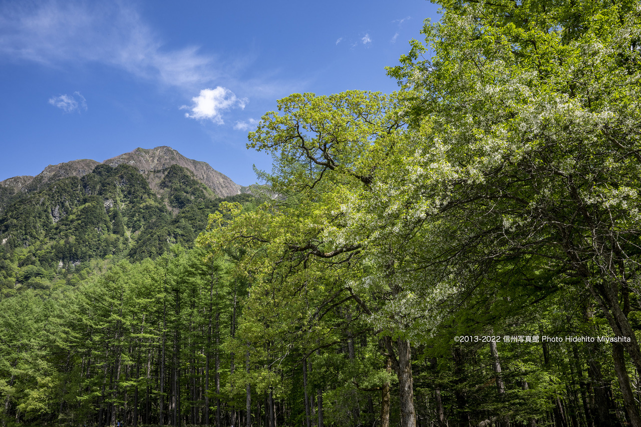 小梨と六百山_20220604-_DSC7702