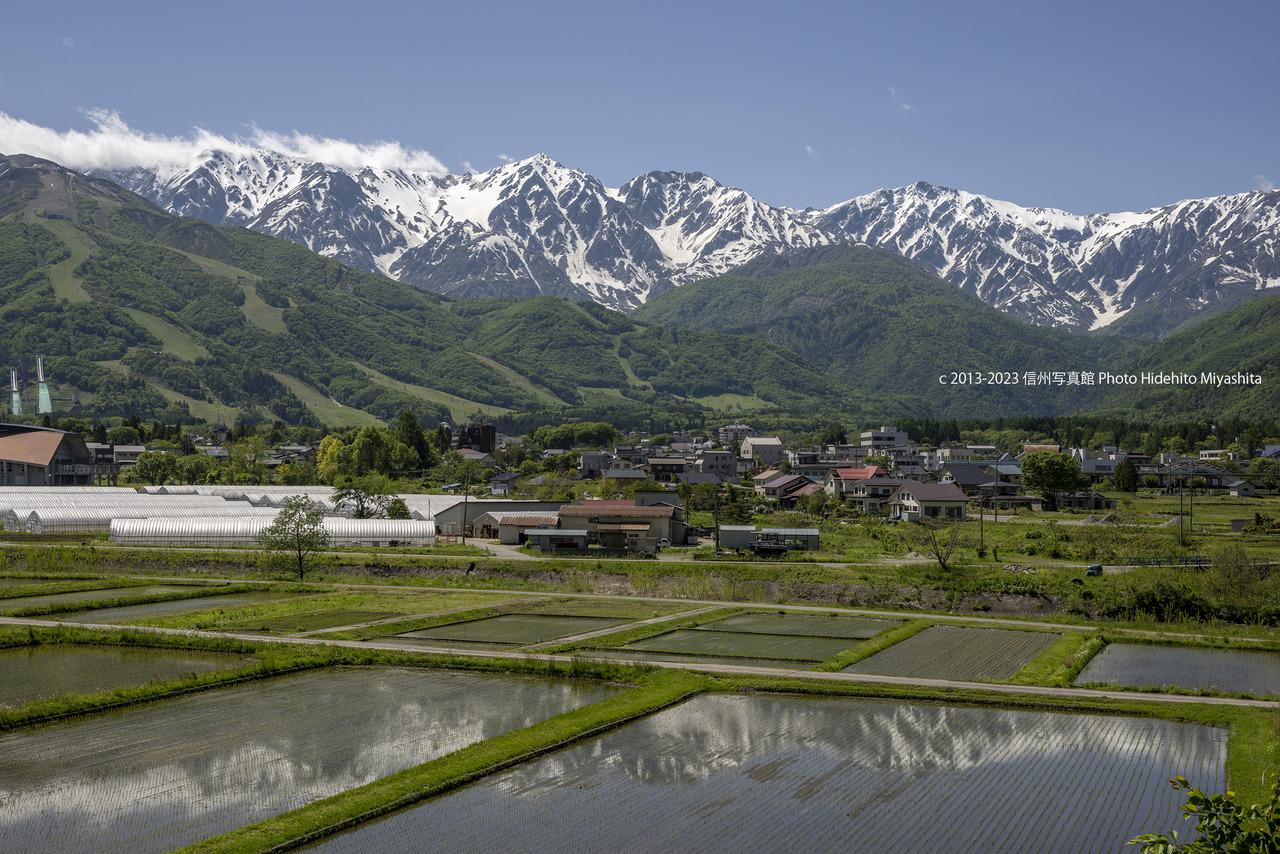 20230524-DSC_0966-2 のコピー