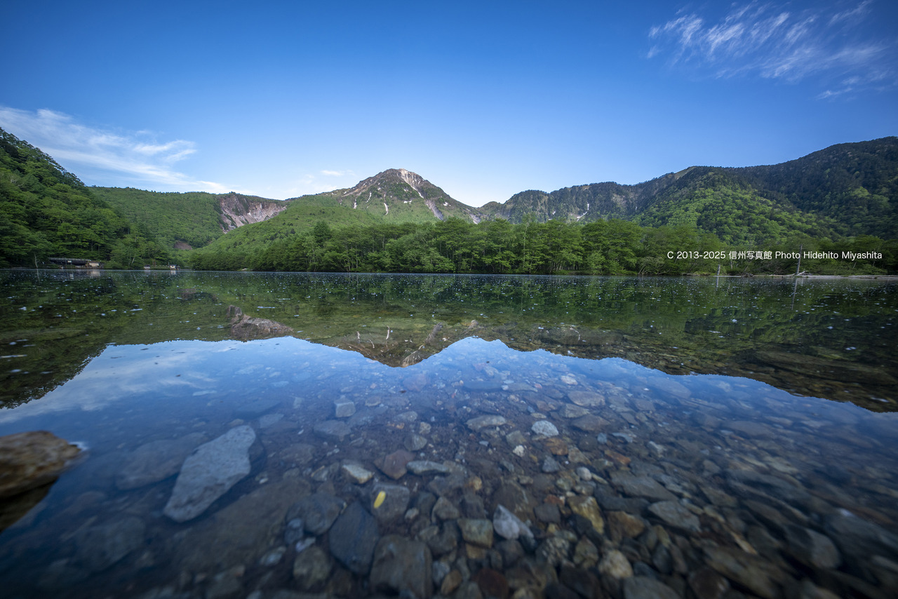 20250607-DSC_9207 のコピー