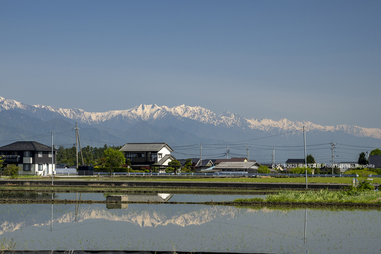 20230510-_DSC8405 のコピー