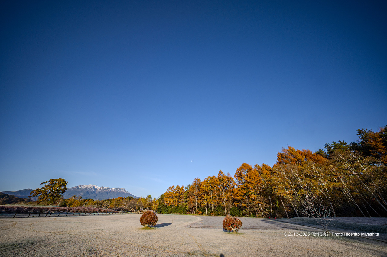 20251108-_DSC4199 のコピー