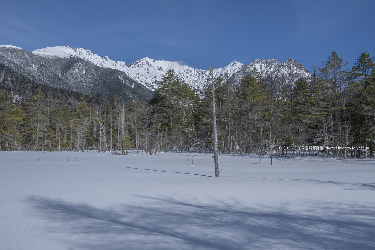 20250119-DSC_8747 のコピー