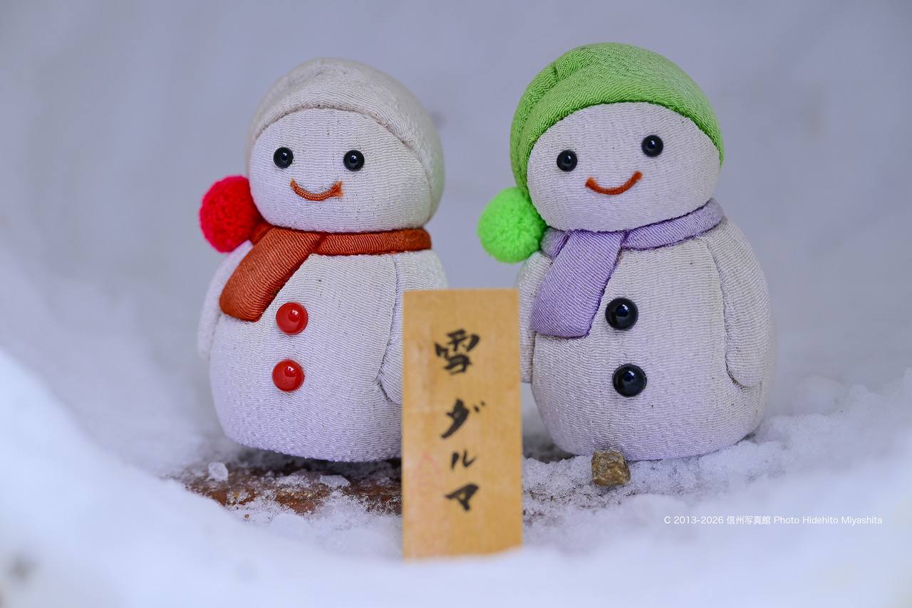 20260201-_DSC7450 のコピー