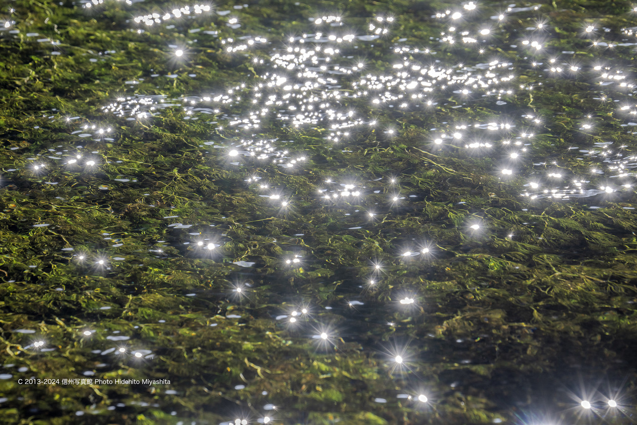 20241202-DSC_6046 のコピー